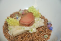 GlenArbor Wine Dinner6